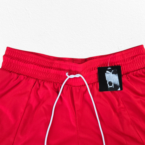 Puma Hoops High Risk Red Foundation Athletic High Waisted Shorts Size Medium - Picture 3 of 13
